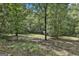 Tranquil view of a lush, wooded landscape with mature trees and natural beauty at 6220 Petersburg Rd, Fairburn, GA 30213