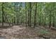 Lush wooded setting with mature trees provides privacy, shade, and a natural landscape at 6220 Petersburg Rd, Fairburn, GA 30213