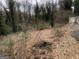 A densely wooded lot offers privacy and seclusion at 702 Emily Nw Pl # 0, Atlanta, GA 30318