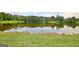 Scenic view of a serene pond surrounded by lush greenery, with tranquil water reflections at 383 Beaumont Farms Dr, Sharpsburg, GA 30277