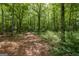 Scenic lot featuring mature trees and a meandering pathway through lush greenery at 400 Mccart Rd, Mcdonough, GA 30252