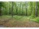 Property surrounded by lush woods at 400 Mccart Rd, Mcdonough, GA 30252
