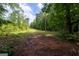 Entrance to the property through the surrounding lush woods at 400 Mccart Rd, Mcdonough, GA 30252