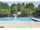 Community pool and waterslide surrounded by mature trees and lounge chairs at 50 Star Spangled Ln, Peachtree City, GA 30269