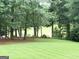 Large backyard featuring green grass and mature trees with a nice view at 99 Oakwind Pt, Acworth, GA 30101