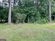 Large green backyard with thick trees at 581 N Fairfield Dr, Peachtree City, GA 30269
