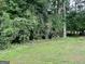 Large green backyard with thick trees at 581 N Fairfield Dr, Peachtree City, GA 30269