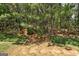 This backyard features a lush, mature forest with various evergreens and deciduous trees at 2504 Plymouth Way, Conyers, GA 30013
