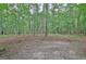 Backyard with large trees and natural ground cover, creating a private and natural outdoor setting at 210 Grandchester Way, Fayetteville, GA 30215