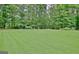 Lush, green backyard offers plenty of space for recreation and relaxation, lined with mature trees at 210 Grandchester Way, Fayetteville, GA 30215