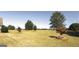 Large, well-maintained front yard with mature trees, offering ample space and curb appeal at 3368 Alhambra Cir, Hampton, GA 30228