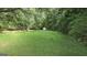 Expansive backyard with lush green grass and mature trees, perfect for outdoor activities and privacy at 465 Haynie Rd, Moreland, GA 30259