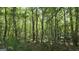 Secluded wooded lot with mature trees, offering privacy and a natural setting at 465 Haynie Rd, Moreland, GA 30259