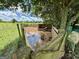 Livestock pen shaded by a tree; a rustic retreat ideal for animal lovers and countryside living at 3014 Bowdon Tyus Rd, Bowdon, GA 30108
