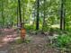 Landscaped backyard with mature trees, garden decor and a serene, natural setting at 4147 Alayna Lee Cir, Mcdonough, GA 30252