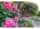 Beautiful pink hydrangeas frame the front porch with rocking chairs, enhancing curb appeal at 8815 Campbellton St, Douglasville, GA 30134