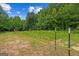 View of a thriving corn garden surrounded by lush greenery, fenced for protection, and nurtured under the open sky at 500 Happy Hollow Rd, Villa Rica, GA 30180