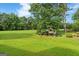 Spacious backyard with a playground and a lush green lawn, framed by mature trees at 595 Mcgarity Dr, Mcdonough, GA 30252