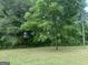 View of the home's expansive yard with lush green grass and mature trees in the background at 276 Oakland Rd, Mcdonough, GA 30253