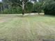 Wide shot of a vast yard with newly mowed grass and scattered mature trees in a serene, rural setting at 276 Oakland Rd, Mcdonough, GA 30253