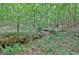 Scenic wooded lot with a tranquil creek flowing through the lush green landscape at 460 Morgan Mill Rd, Brooks, GA 30205