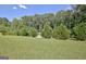 Beautiful front yard with lush green grass and mature trees, providing a serene and inviting atmosphere at 460 Morgan Mill Rd, Brooks, GA 30205