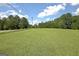 Expansive grassy field beneath a blue sky with scattered clouds and bordered by lush, mature trees at 460 Morgan Mill Rd, Brooks, GA 30205