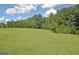 Expansive green lawn surrounded by lush trees, creating a private and serene environment at 460 Morgan Mill Rd, Brooks, GA 30205