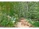 Shaded, natural woodland path, perfect for a peaceful nature walk or hike at 460 Morgan Mill Rd, Brooks, GA 30205