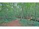 Picturesque wooded trail winding through lush greenery, ideal for nature walks and outdoor adventures at 460 Morgan Mill Rd, Brooks, GA 30205