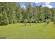 Green manicured lawn with protected trees under netting in a well-maintained yard at 460 Morgan Mill Rd, Brooks, GA 30205