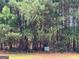 Heavily wooded homesite marked with a sign indicating the lot number in a natural setting at 4309 Giverny Blvd, Fairburn, GA 30213