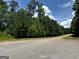 Street view surrounded by mature trees and natural landscaping, offering a serene and peaceful setting at 4309 Giverny Blvd, Fairburn, GA 30213