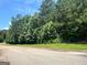 Quiet street lined with trees with a fire hydrant and well-maintained grassy area at 4309 Giverny Blvd, Fairburn, GA 30213