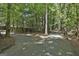 Picturesque paved street surrounded by lush, mature trees offering shade and privacy at 205 Shadowood Ln, Peachtree City, GA 30269