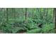 Picturesque view of a peaceful creek meandering through lush, mature trees and vibrant foliage at 251 Merrell Rd, Carrollton, GA 30116