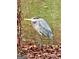 Serene pond view featuring a heron standing near the water's edge, enhancing the property's natural appeal at 50 Birch Road, Covington, GA 30014