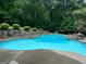 Beautiful in-ground pool surrounded by lush greenery, creating a private oasis at 125 Sir Lancelot Ct, Fayetteville, GA 30214