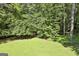 Grassy backyard and green forest, offering a private outdoor living space to relax and enjoy nature at 118 Whitfield Run, Peachtree City, GA 30269