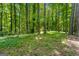 A lush backyard with trees and native plants at 70 Juliana Dr, Ellenwood, GA 30294
