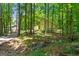 Secluded home with a wooded lot and winding driveway at 70 Juliana Dr, Ellenwood, GA 30294