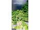 Aerial view of a secluded property nestled in a lush forest near Lake Peachtree at 115 Edgewater Way, Peachtree City, GA 30269
