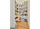 Walk-in pantry with extensive shelving provides ample storage space at 310 Westbourne Dr, Tyrone, GA 30290