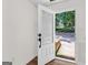 View of a white front door with decorative glass panel, welcoming natural light and outdoor scenery at 79 The Farm Rd, Mcdonough, GA 30252
