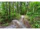 Gravel woodland path leading through a serene and lush forest at 1572 Azalea Dr, Lawrenceville, GA 30043
