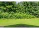 Lush backyard featuring a well-maintained lawn, providing a private and tranquil outdoor space at 513 Shadow Valley Ct, Lithonia, GA 30058
