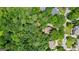 Aerial view showcasing the home's location within a wooded area, emphasizing the privacy and natural surroundings at 1788 River Bluff Vw, Duluth, GA 30097