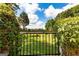 Gated backyard view with luscious green lawn and pastoral fields extending to the distant tree line at 1502 Campground, Mcdonough, GA 30252