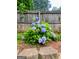 Vibrant hydrangea bush against a rustic wooden fence adds charm and color to the garden at 2913 Jordan Forest Trail, Lawrenceville, GA 30044
