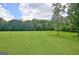 Large, well-maintained backyard with lush green grass and ample space for recreation at 5187 Lower Fayetteville Rd, Sharpsburg, GA 30277